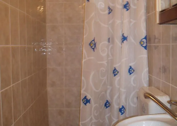 Daire Apartments&rooms Mila - yard Supetarska Draga